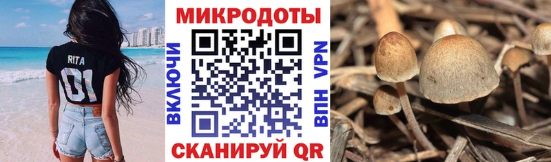 наркошоп  Тотьма  Галлюциногенные грибы ЛСД 